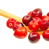 Cranberry extract - Predstonorm Composition 